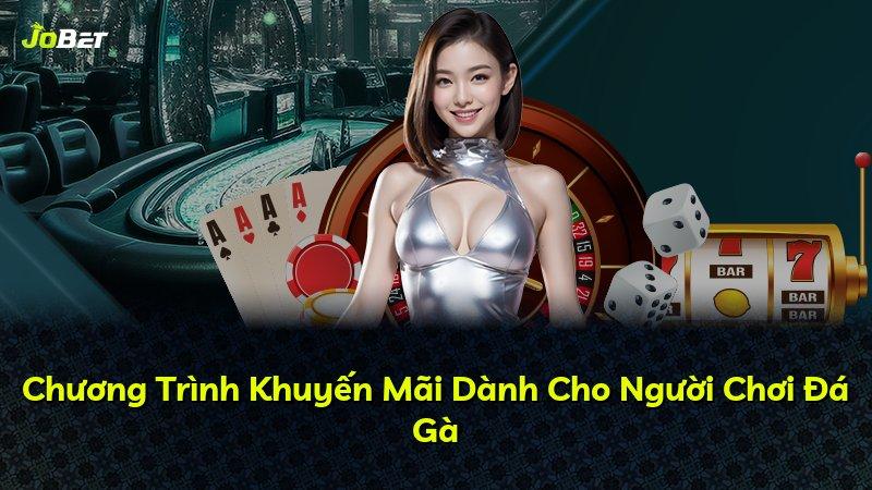 Chương Trình Khuyến Mãi Dành Cho Người Chơi Đá Gà
